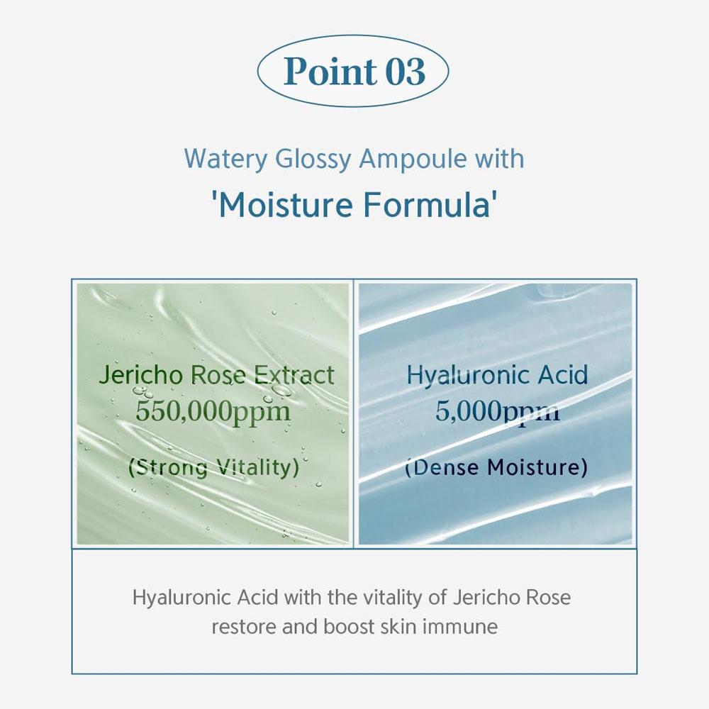 NACIFIC Hyal Booster Ampull 50ml