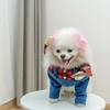 Halloween Custom Logo Funny Pet Clothes Dog Costume