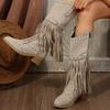2025 Winter Women Fringes Thick Heel High Boots Suede Pointed Toe Outdoor Fashion Platform Shoes Willow Nails Pumps Women Shoes