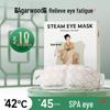 Weikang Disposable Self-Heating Steam Eye Mask (10 Count)