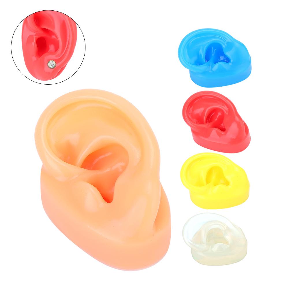 Soft Silicone Simulation Left Human Ear Model Ear Display Teaching Aid Model