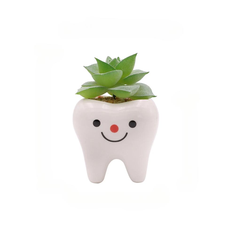 

Cute Tooth Flowerpots - Ceramic Garden Pots Planters, Succulent Cactus Vases, Home Garden Decorative Tabletop Plant Pot