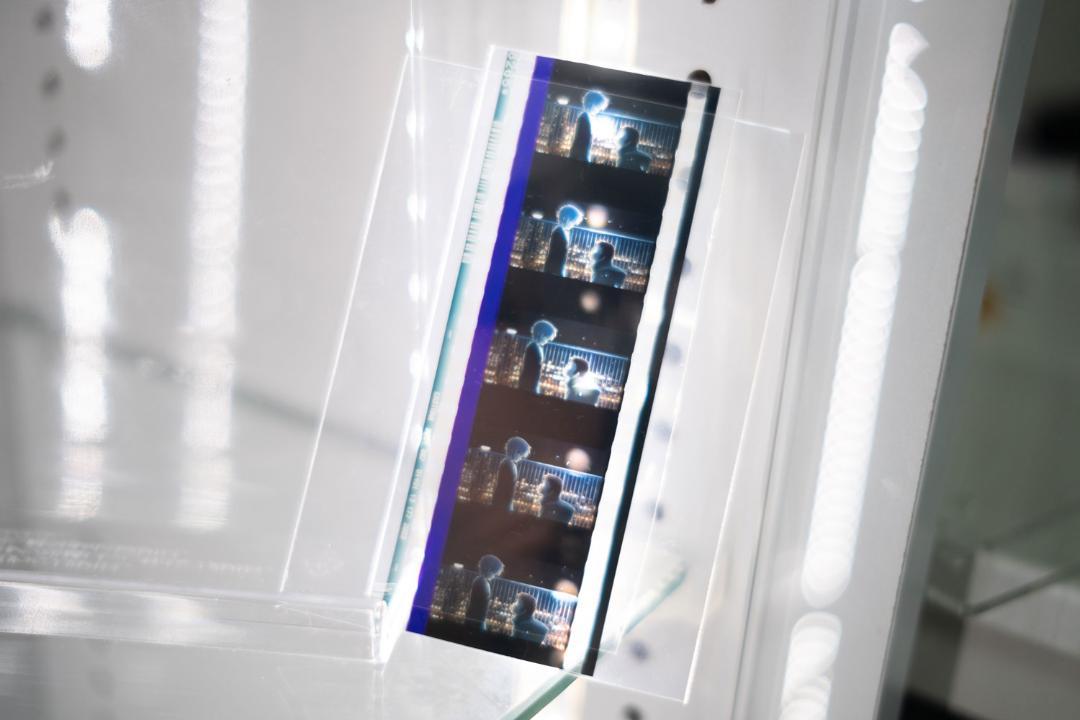 

[USED] The Disappearance of Haruhi Suzumiya Film Theater Bonus Distribution Item Not for Sale