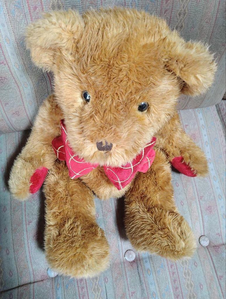 [USED] teddy bear