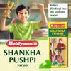 Baidyanath Asli Ayurved Shankhapushpi Syrup - 450 Ml, Liquid