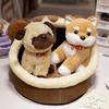 Cute puppy dog Shiba Inu doll plush toy Pekingese Bianmu teddy dog doll children soothing doll