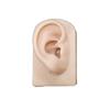 Practice for Hearing Teaching Piercing Practice Body Human Jewelry Earrings Display Simulation Ear Silicone Ear Model Fake Ear