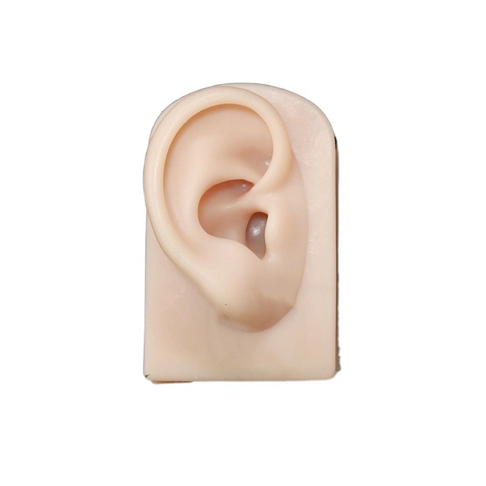 Practice for Hearing Teaching Piercing Practice Body Human Jewelry Earrings Display Simulation Ear Silicone Ear Model Fake Ear