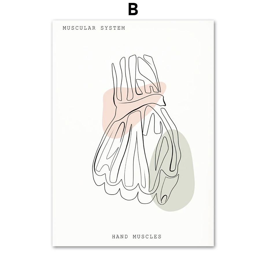 Minimalistisches buntes Anatomie-Linien-medizinisches Poster und Druck, Geist-Zahn-Organ-Wand-Kunst-Leinwand-Malerei, Ästhetik, Raumklinik-Dekor