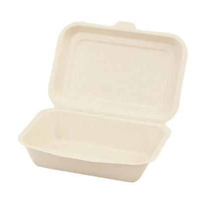 Disposable Lunch 600ml Pack of Commercial ECO&BASIC Boxes, Capacity, 50, Microwaveable, Takeout, Bagasse, Durable, Stain-Resistant, Eco-Friendly,