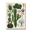 Moderní rostlina Květinové jeskyně Malba Vintage Botanický kaktus Plakáty a obrazy Nástěnný umělecký obraz do koupelny Domácí dekorace Cuadros