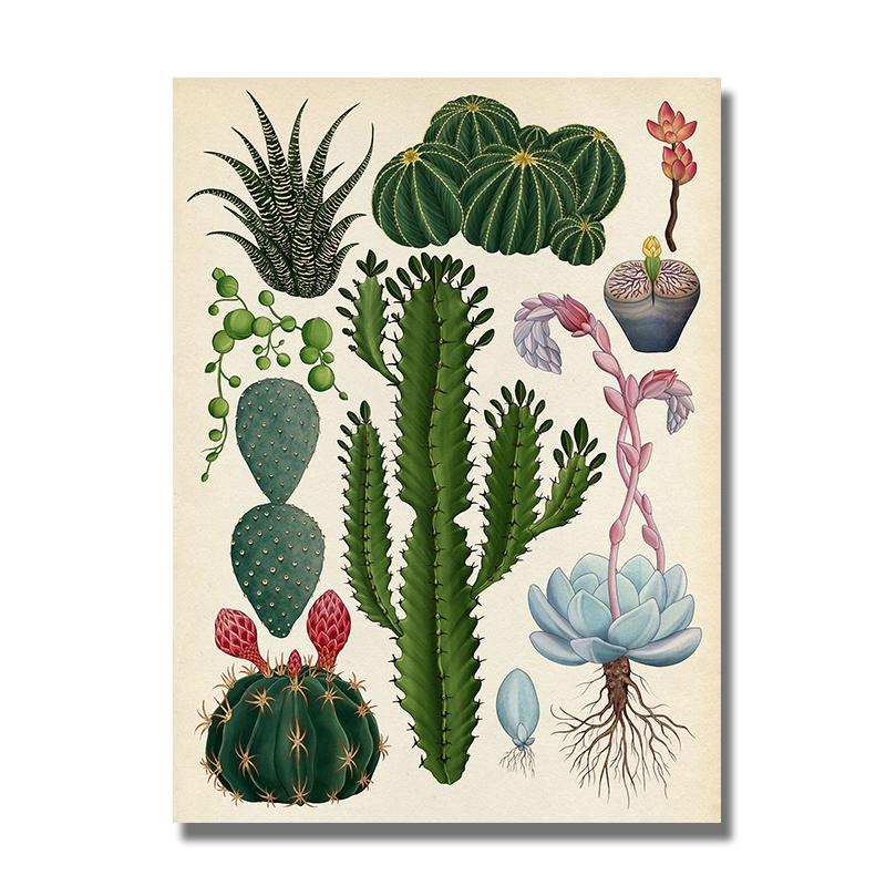 Moderní rostlina Květinové jeskyně Malba Vintage Botanický kaktus Plakáty a obrazy Nástěnný umělecký obraz do koupelny Domácí dekorace Cuadros