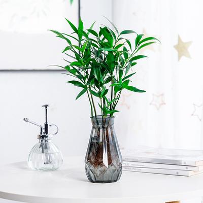 1 Pcs Creative Transparent Plastic Flower Vase Hydroponic Vase Living Room Desktop Decoration Wedding Centerpiece Arrangement
