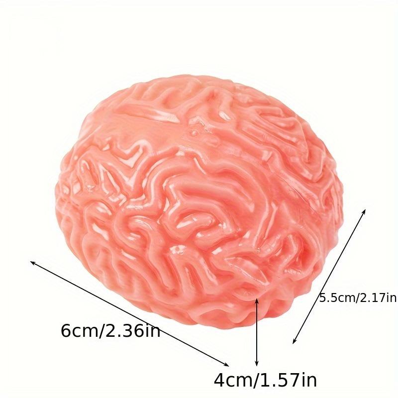 Kreative Simulation Gehirn Squishy Fidget Spielzeug Stressabbau Bälle Weich Dekompression Sensorisches Quetschspielzeug für Büro Klassenzimmer