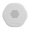 Haut-parleur fin pour le sommeil compatible Bluetooth avec bruit blanc et arrêt automatique pour la relaxation au coucher et un meilleur sommeil