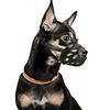 Dog Muzzle, Breathable Basket Muzzle for Small, Medium, and Large Dogs,