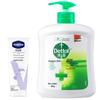 Dettol Classic Pine Antibacterial Hand Wash & Cream Set