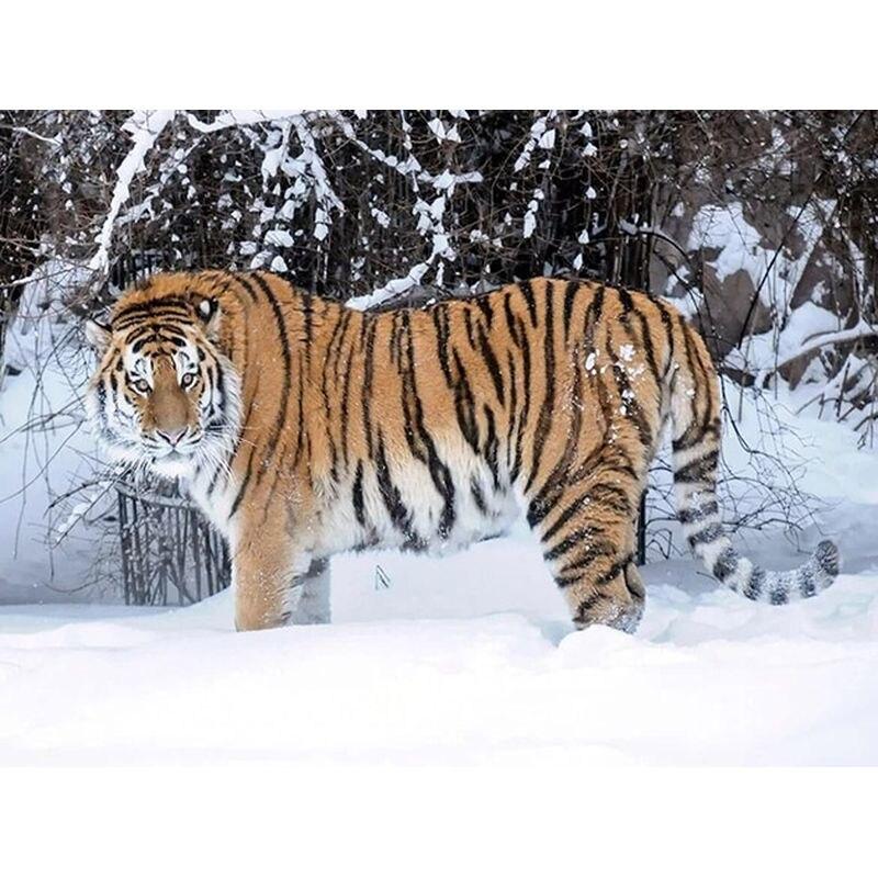 

Алмазная картина Тигр животное для взрослых вышивка крестиком Алмазная вышивка Алмазная мозаика ремесленный домашний декор Full Round 20x30CM