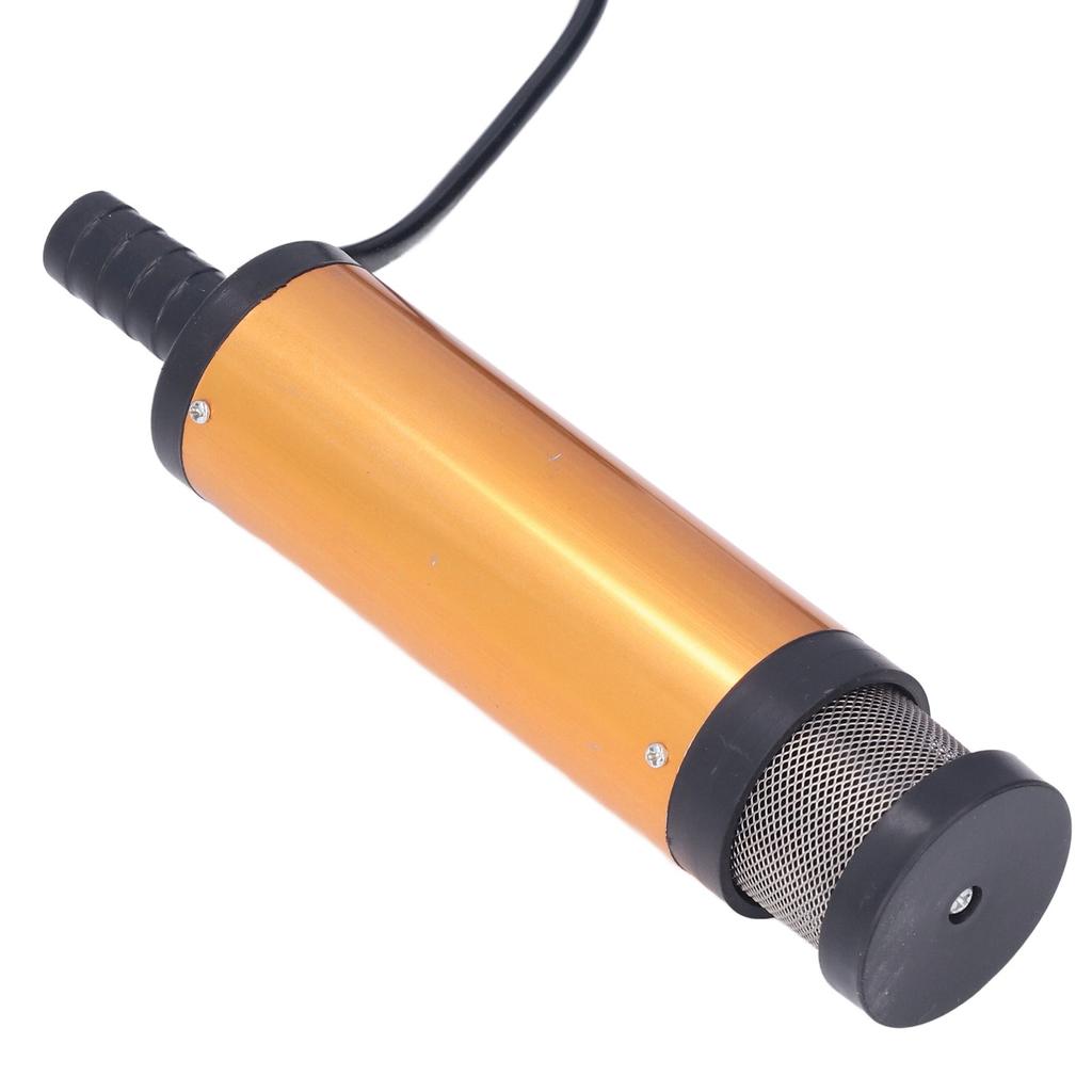 Oil Pump Electric Mini Portable with Filter for Water Fuel Diesel Transfer DC 12V 38mm