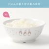 OGISO Peter Rabbit Adventure Rice Bowl and Microwave Children's (Dishwasher Safe)