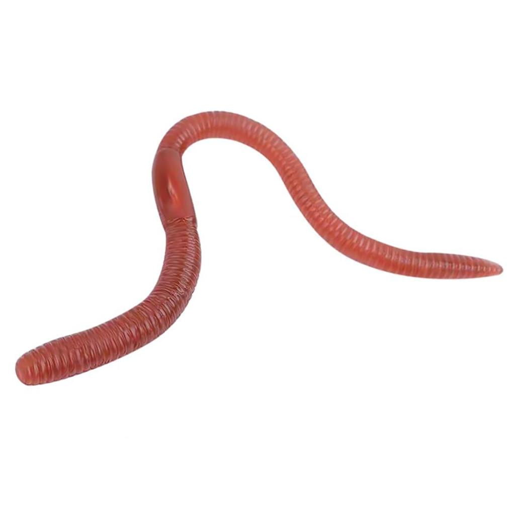 10-Pack Stretchy Earthworms Realistic Earthworms, Wriggling Wors Soft Stretchy Rubber Earthworms, Prank Party Favors