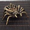 Metal Incense Holder Spider Type Aroma Furnace Durable Aromatherapy Stove  Home Interior Decoration