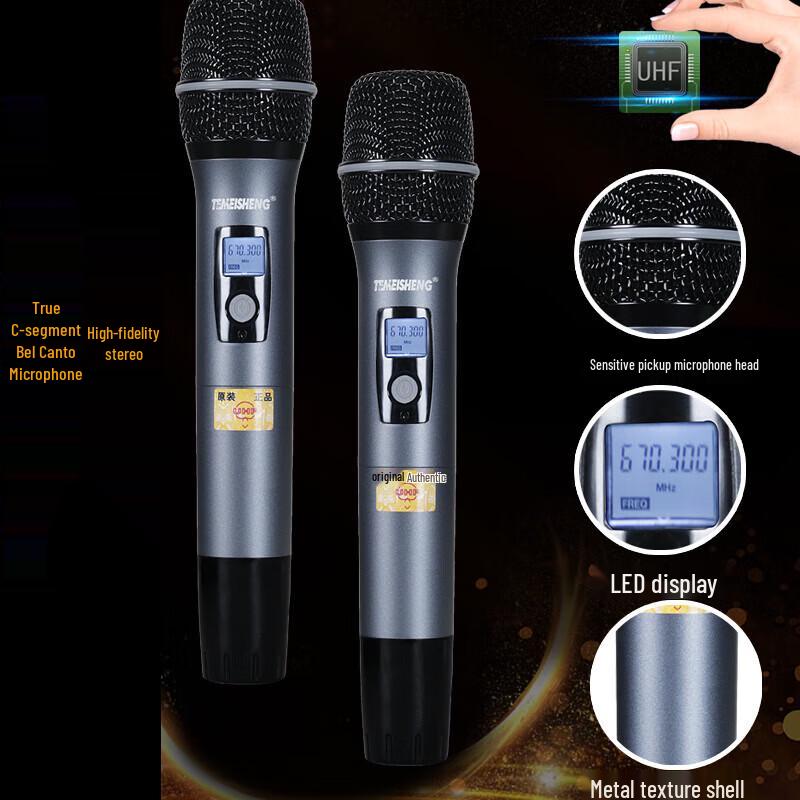 TEMEISHENG TK-910 Professional Portable Karaoke Speaker System (CN version)