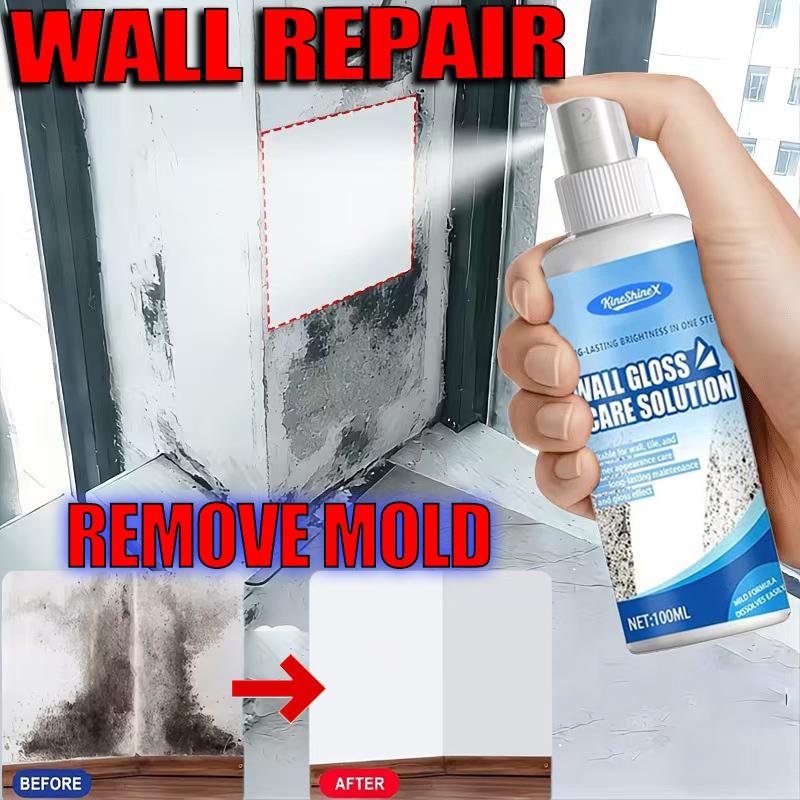 Mold Remover For Walls And Removing Mold Spots Cleaning Agent For Repairing Wall Effectively Remove Mold Remove Mold Gel Cleaner Set