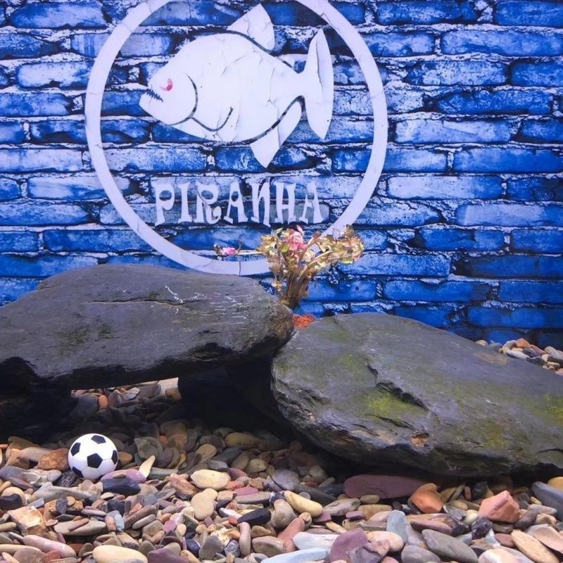 

Stream Slabs Ecological Natural Stone Collection for Landscaping and Aquariums