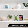 Card Loader, Acrylic Case, Acrylic Stand, Yu-Gi-Oh!, Fully Sealed, UV Protection
