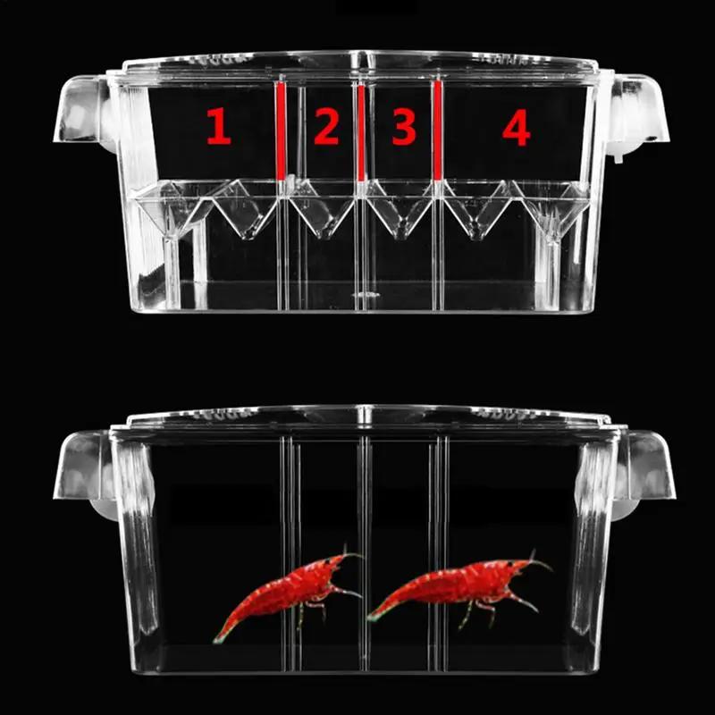 Acrylic Double-Deck Clear Fish Breeding Isolation Box Hatchery Divider for Shrimp Clownfish Aggressive Fish Injured