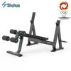 Shuhua Commercial Leg Press & Decline Weight Bench