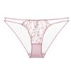 Spot Low Waist Hip Lift T Pants Embroidered Briefs Sexy Hollow Thong Mesh Fun Seduction Women