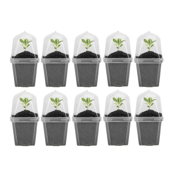 Przezroczyste doniczki do szkółki roślin Plastikowe wielokrotnego użytku doniczki na sadzonki z kopułą wilgotnościową 3" Doniczki ogrodnicze Małe doniczki na sukulenty zioła sadzonki sadzonki