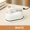 Portable Two-in-One Electric Garment Steamer & Flat Iron with Temperature Control for Dry/Wet Use