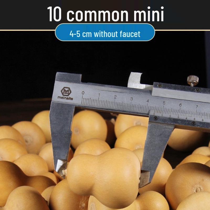 Biao Yun Dragon Head Gourd Handheld Ornament - Miniature Wenwan Collection Piece