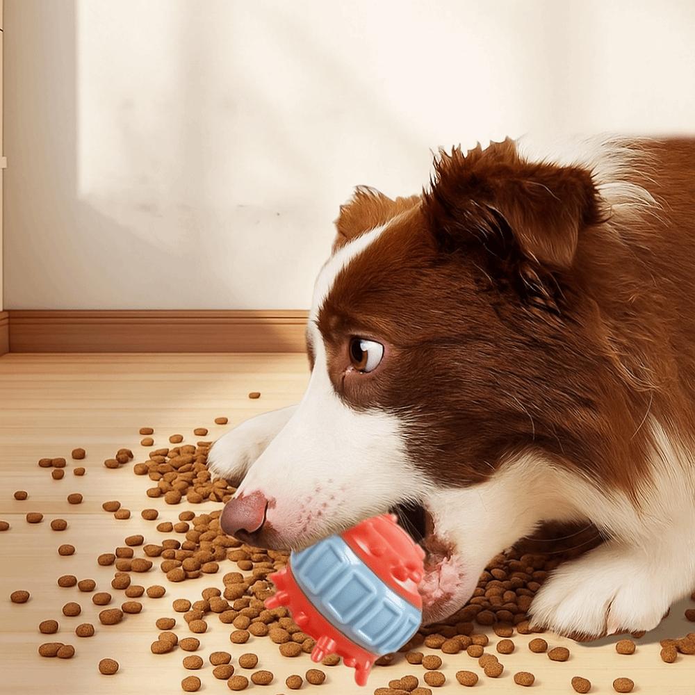 4 Pcs/set Food Puzzle Bite Resistant Interactive Dog Toys TPR Wear Resistant Dog Food Dispensing Colorful Dog Chew Solo Play