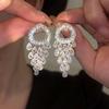 Silver Needle CZ Round Water Drop Tassel Stud Earrings - Exquisite, Fashionable, Versatile High-End Accessories for Women