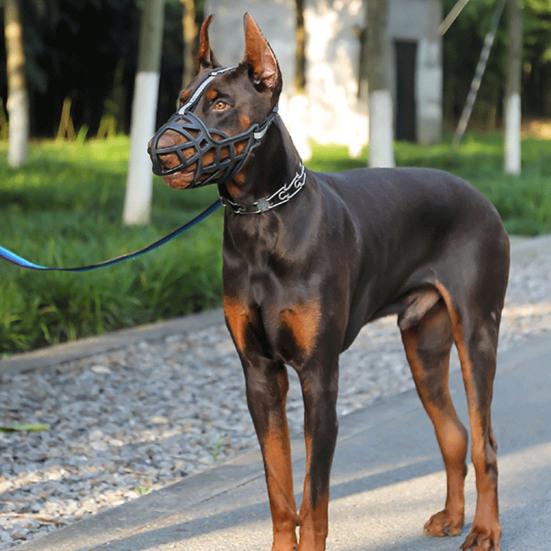 Dog Muzzle Buckle Design Innovative Wear-resistant Sturdy Tear-resistant Anti-bite Hollow Out Pet Anti-Barking