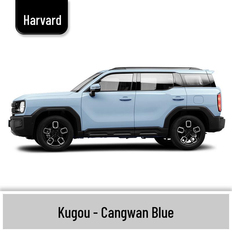 Haval H6 Cool Dog Touch-Up Pen, Black Spot & Ruixue White Scratch Repair Paint