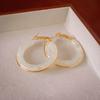Vintage Brown Resin Round Hoop Earrings for Women Exquisite Elegant Geometric Circle Temperament Earings Wedding Jewelry Gifts