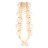 Women Pearls Hairpins Banana Clips Hair Claws Vertical Kids Plastic 10 * 3cm Hair Clips