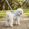 Cute Bow Pet Harness Escape-Proof Cat Leash Princess Style Dog Chest Strap  Travel