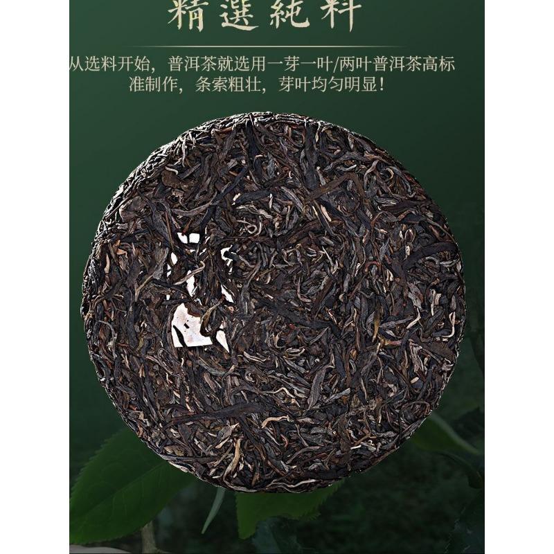 Echter Banzhang-Tee Rohtee Qizi-Kuchen-Tee Yunnan Ancient Tree Rohtee 357g