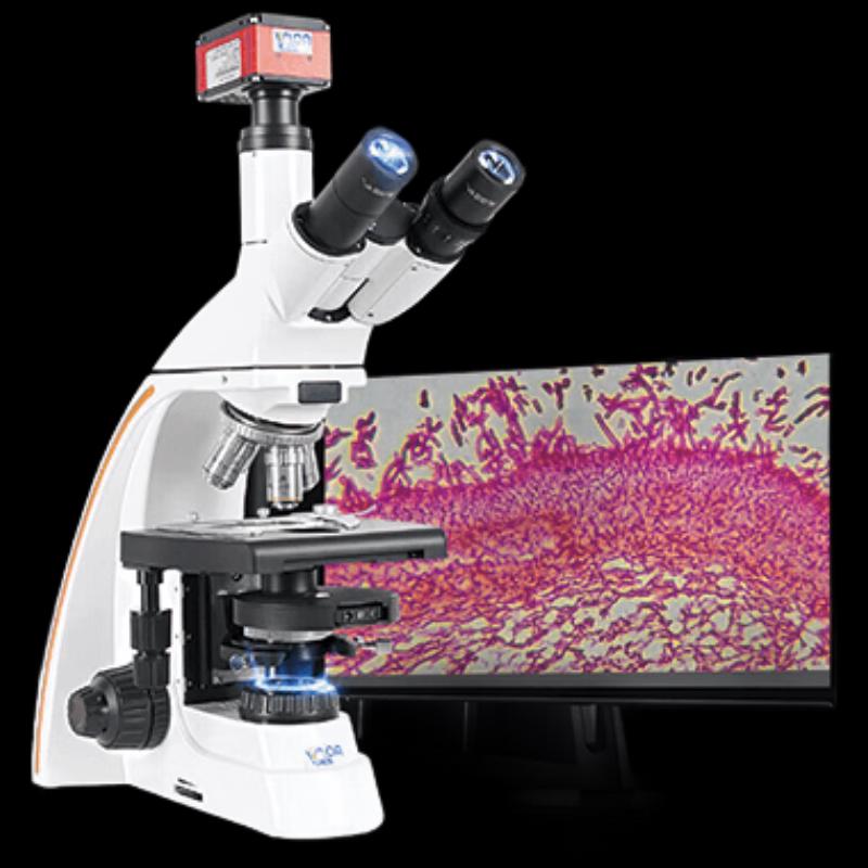 

AOSVI Research-Grade Biological Phase Contrast Microscope