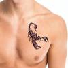 Män Mode Cool Rolig 3D Scorpion King Tillfällig Vattentät Tattoo Sticker