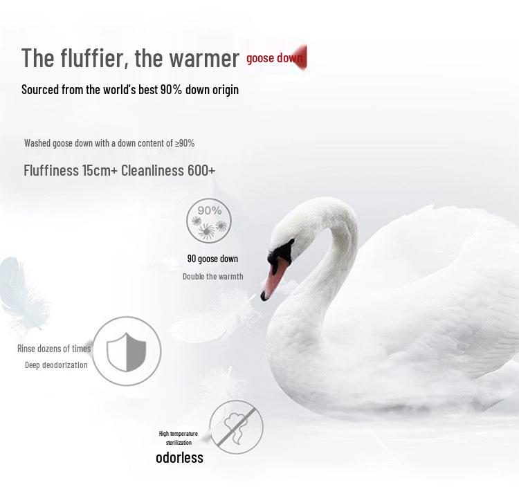 Men's Middle-Aged & Elderly Plus Velvet Warm Winter Down Jacket with Goose Down Liner