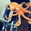 21/31’’ Simulation Orange Octopus with Large Size Stuffed Animal Interactive for Doll Claw Machine Supply Kids Party Fav  B