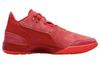 Nike Zoom LeBron Nxxt Gen Ampd 'James Gang' FJ1566-600