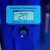 Suction Cup Mounting Aquarium Thermometer Water Temperature Meter  Water Temperature Monitoring